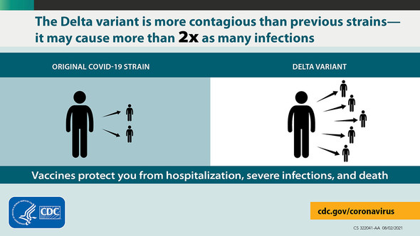 Delta variant may cause more than 2x as many infections as the original strain of COVID-19. Vaccines protect you from hospitalization.