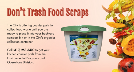 Don't Trash Food Scraps