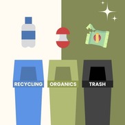 carts and bins with trash sorting