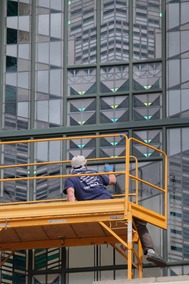 Cleaning Hanging Garden