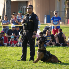 National Night Out - CCPD Officer and K9