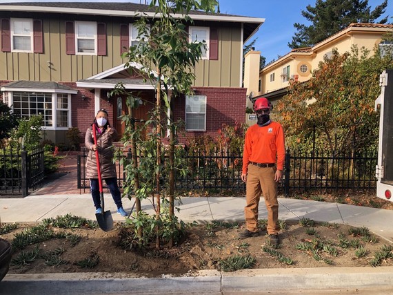 Byrne_street_planting