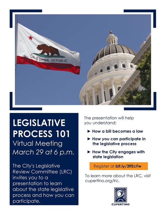 Legislative Process 101 Flyer