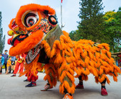 Chinese New Year's Parade Dragon