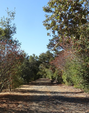 Photo of I-280 Trail