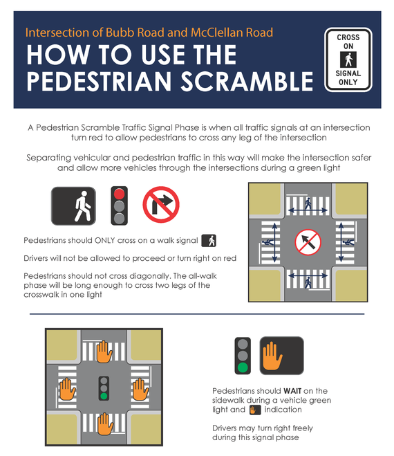 pedestrian scramble informational flyer