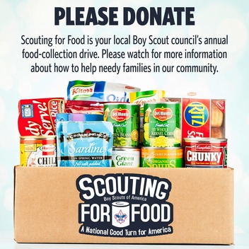 Boy Scouts of America Scouting for Food