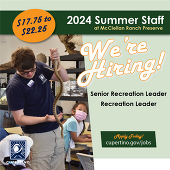 McClellan Summer Jobs 2024