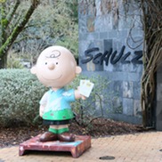 Senior Travel - Schulz