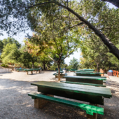 Picnic Area