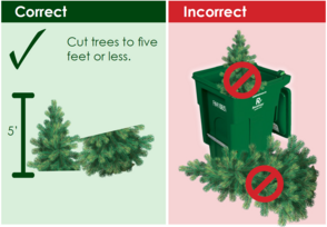 Holiday Tree Disposal