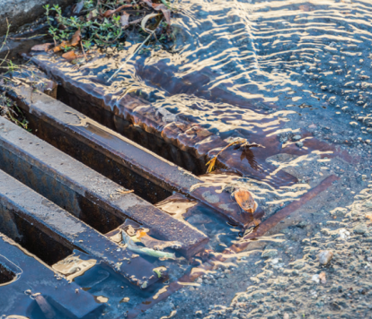 Storm Drain Photo