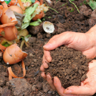 Compost Workshop Generic Image