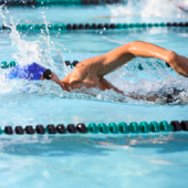 Lap Swim