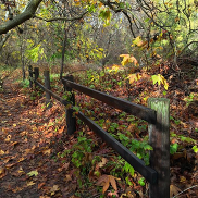 Winter Prep at McClellan Ranch Preserve Seniors Lend a Hand