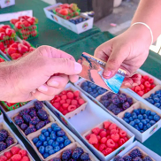 Person hands to food vendor their SNAP EBT Card