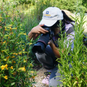 Person taking photos of nature