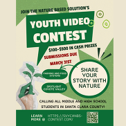 Youth Video Conference Flyer