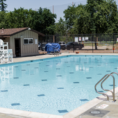 Blackberry Farm Pools