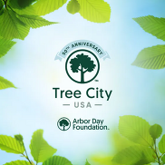 Tree City USA