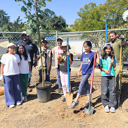 Girl scouts troop 60432 planting trees at Stevens Creek Schools