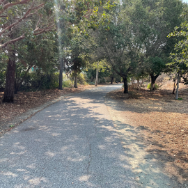 Lawrence-Mitty Park and Trail Project