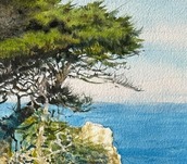 california exhibition