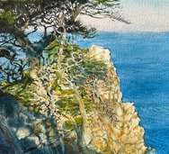 california exhibition