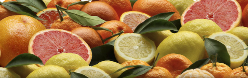 citrus