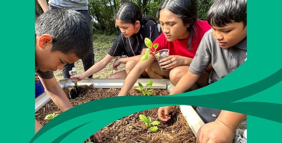 students in the garden