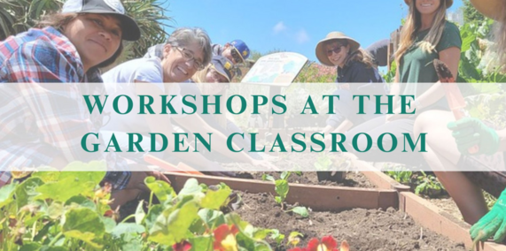 life lab workshops in the garden