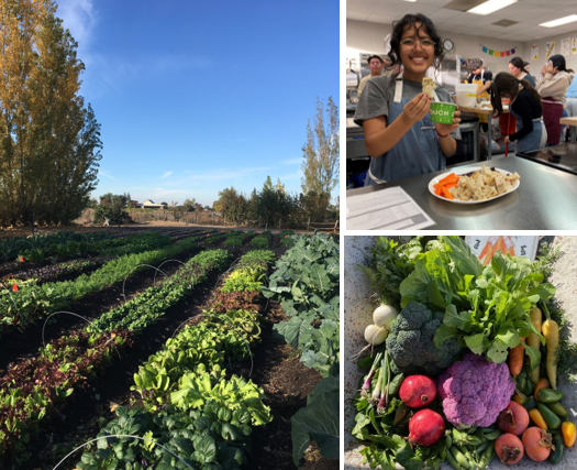 farm and vegetables