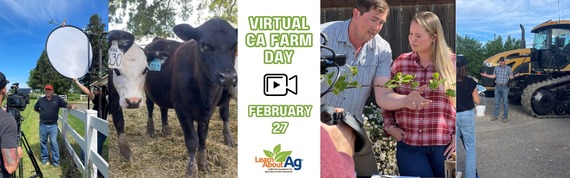 Virtual CA Farm Day event