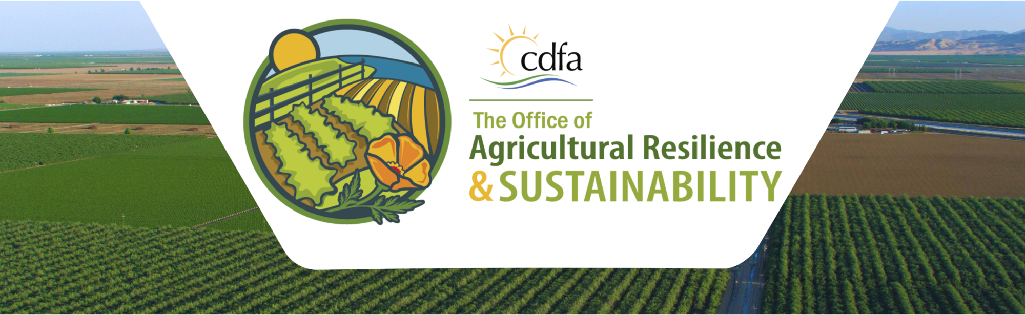 OARS Quarterly Update: Highlights & Achievements from Q1 2025