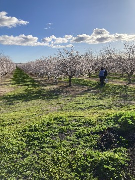 Soil sampling with the Harveys. 