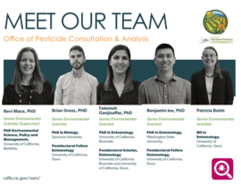 Meet the OPCA Team