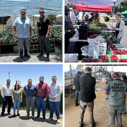 Set of 4 photos of CDFA SOP Activities