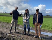Cover Crops