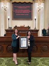 Chair and ED Resolution