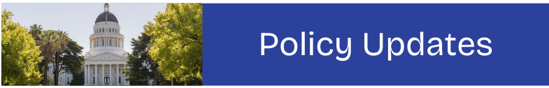 Policy Updates showing women and girls
