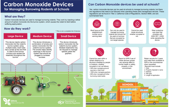 CO Devices Infographic