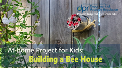 At-Home Project for Kids: Building a Bee House