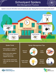 Schoolyard Spiders Image