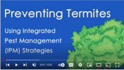 Preventing Termites Video