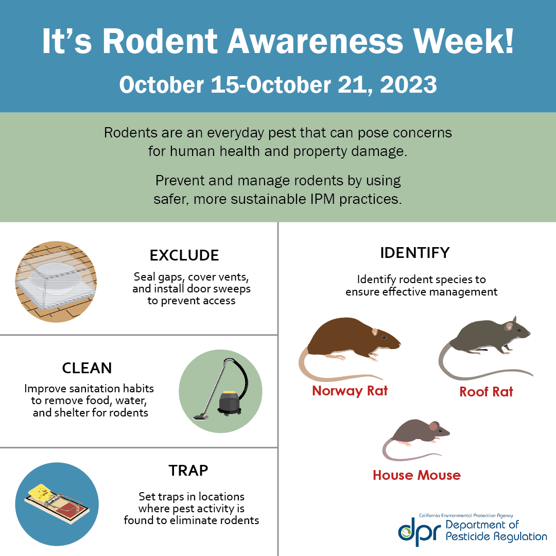 It's Rodent Awareness Week