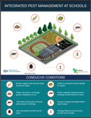 IPM at Schools infographic