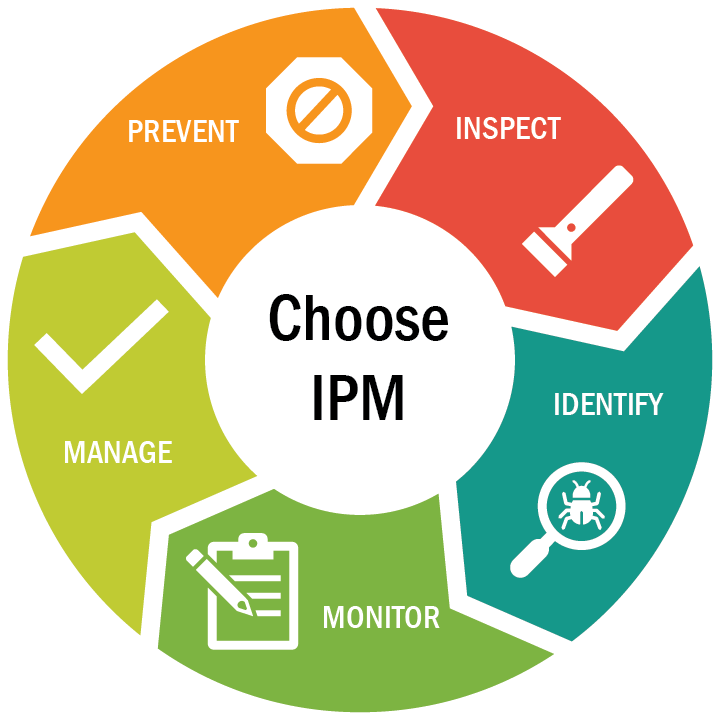 Choose IPM image