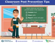 Classroom Pests Prevention Tips