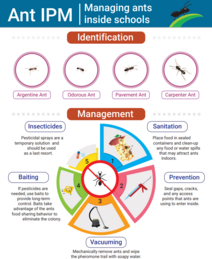 Choose IPM: Managing Ants