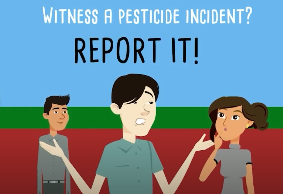 pesticide reporting video screenshot (English)